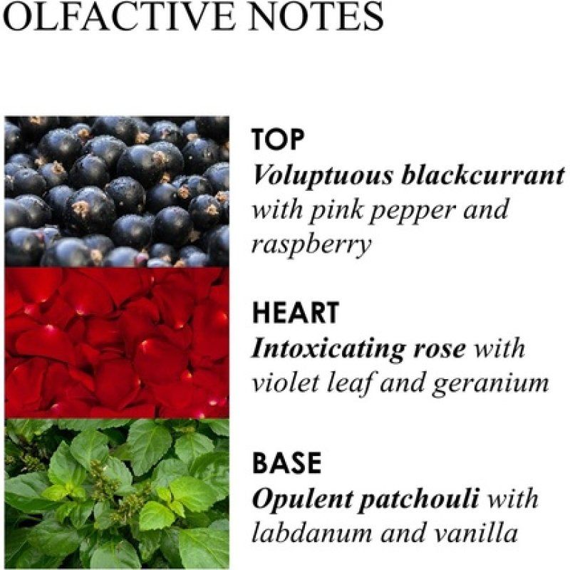 Molton Brown Rosa Absolute Body Care Collection