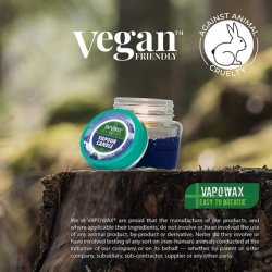 Airpure Vapowax Vapour Candle Mini