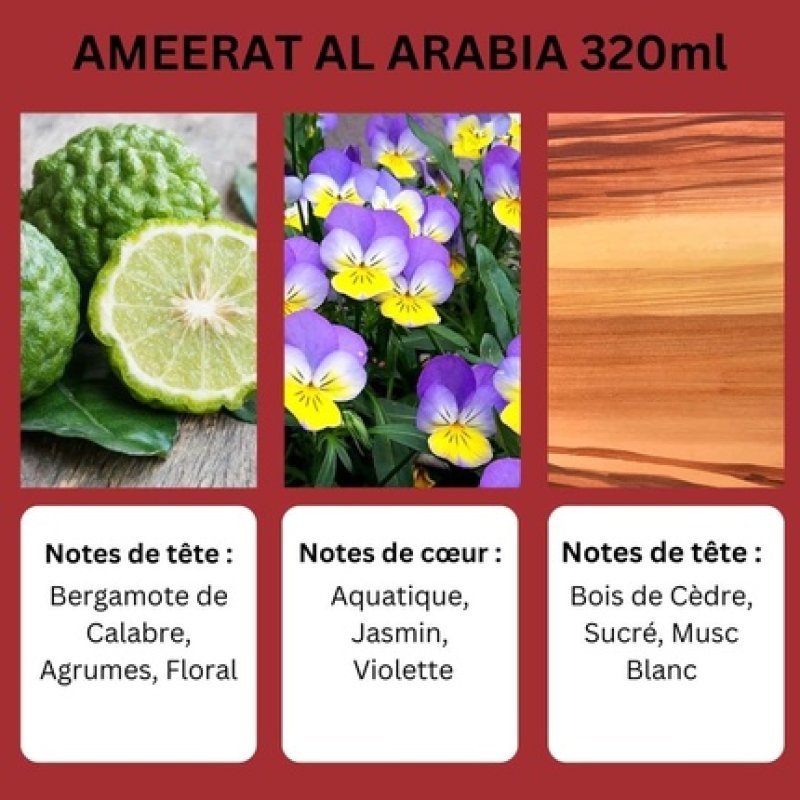 Ayat Ameerat Al Arabia 320ml Air Freshener - Arabian Fragrance Interior Spray - Alcohol-Free Room Deodorizer