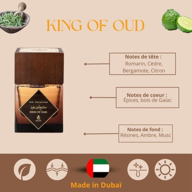 AYAT PERFUMES Eau de Parfum Oud Collection 100ml - Unisex Oriental Fragrance from Dubai