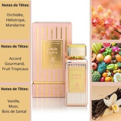 Eau de Parfum FEELINGS 100ml Ayat Perfumes - Made in Dubai with Notes of Rose, Vanilla, Oud, Musk, and Woody - EDP