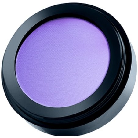 Paese Cosmetics Blueberry Eye Palette - 10 Vibrant Long-Lasting Shades