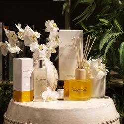 AromaWorks Serenity Reed Diffuser