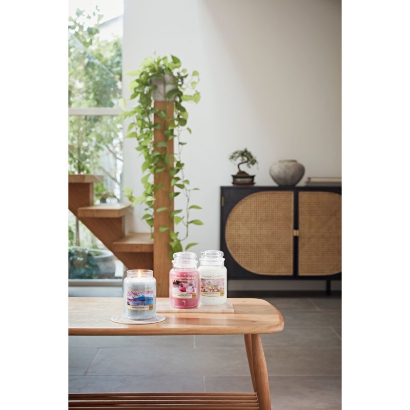 Yankee Candle Sweet Plum Sake | Large Candle In Glass | Sakura Blossom