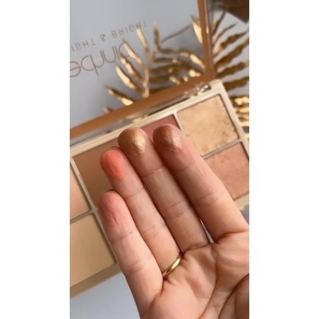 Technic Shade Light & Bright Contour Blush & Highlight Palette