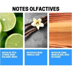 Ayat Perfume Fragrance Mist Musk Vanilla 250ml - Oriental Fragrance for Men and Women - Made in Dubai