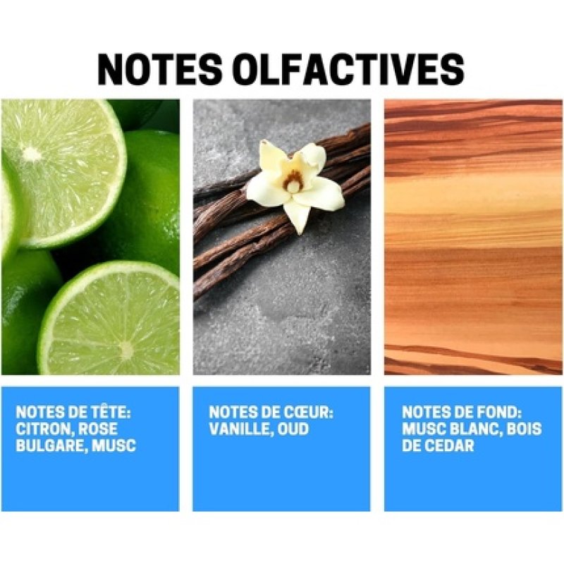 Ayat Perfume Fragrance Mist Musk Vanilla 250ml - Oriental Fragrance for Men and Women - Made in Dubai