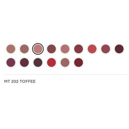 Radiant Professional Advanced Care Lipstick Ultra Nourishing Moisturizing Long Lasting with Vitamin E UVA UVB Filters