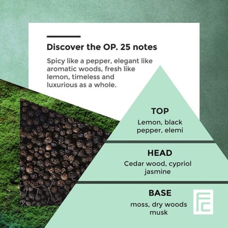 Chopin Op. 25 Men's Perfume Dynamic Scent with Timeless Black Pepper, Cedarwood, Jasmine Woody Fragrance 50ml