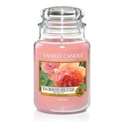 Yankee Candle SUN DRENCHED APRICOT ROSE wax candle Cylinder 1 pc(s)