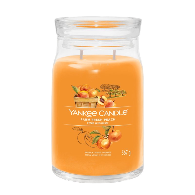 Yankee Candle Signature bougie en cire Cylindre Abricot, Pêche, Vanille Orange 1 pièce(s)