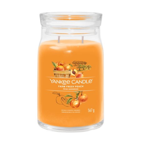 Yankee Candle Signature bougie en cire Cylindre Abricot, Pêche, Vanille Orange 1 pièce(s)