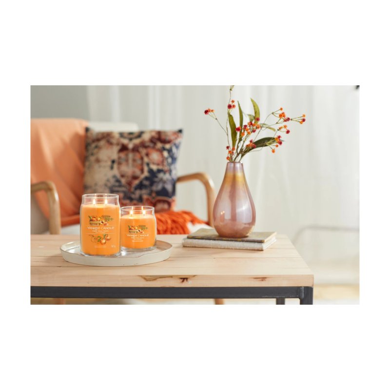 Yankee Candle Signature wax candle Cylinder Apricot, Peach, Vanilla Orange 1 pc(s)