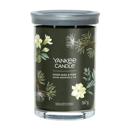 Yankee Candle Silver Sage & Pine bougie en cire Cylindre Vert 1 pièce(s)