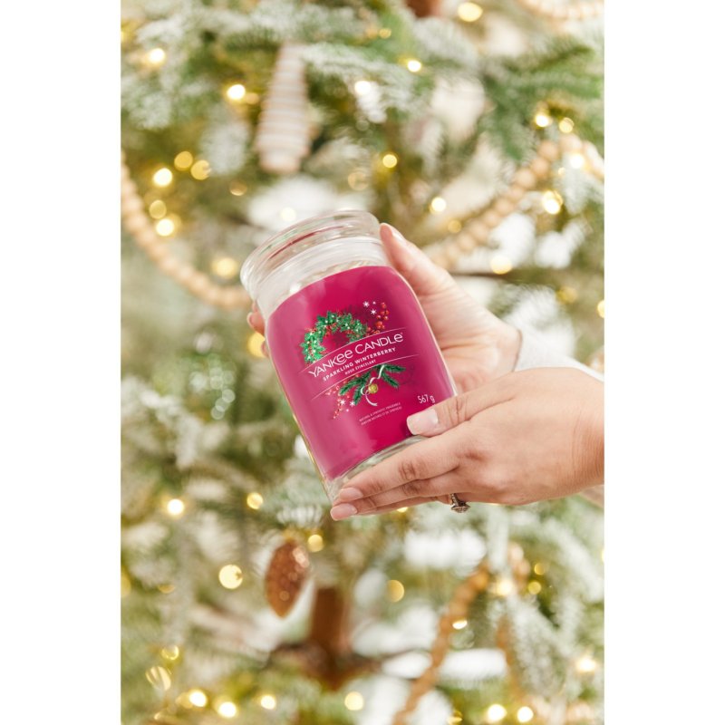 Yankee Candle Sparkling Winterberry bougie en cire Rond Rouge 1 pièce(s)