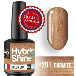 Mollon Pro Mol Hss 2/291 Semi-Permanent Hybrid Shine Nail Polish