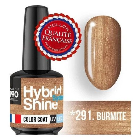 Mollon Pro Mol Hss 2/291 Semi-Permanent Hybrid Shine Nail Polish