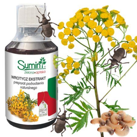 Tansax Extract for Drugs Bubbles 250ml Ecological Spray