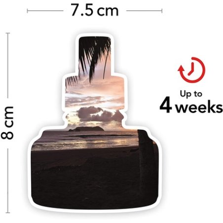 Yankee Candle Scent Plug Refills | Black Coconut Fragrance Oil For