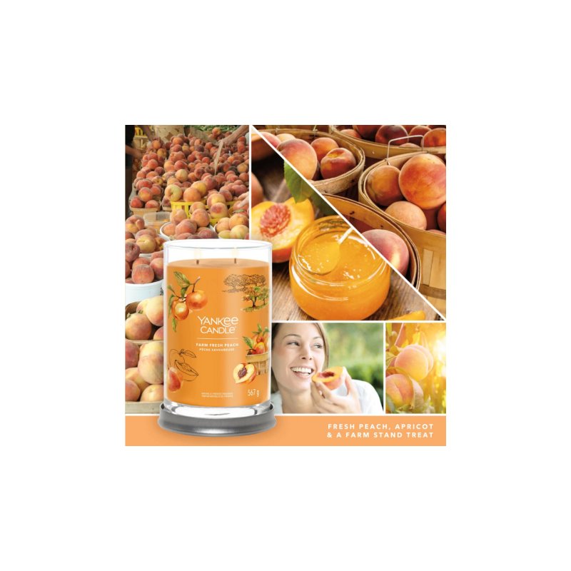 Yankee Candle Signature wax candle Cylinder Apricot, Peach, Vanilla Orange 1 pc(s)