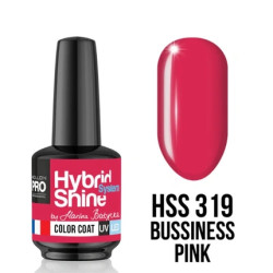 Mollon Pro Mol Hss 2/319 - Semi-Permanent Hybrid Shine Nail Polish, 8ml