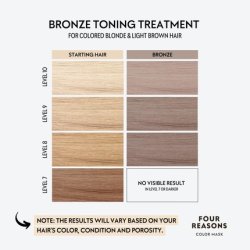 FOUR REASONS Color Mask Shampoo Sulfate Free Toning for Blonde and Light Brown Hair VEGAN 8.5 oz Bronze