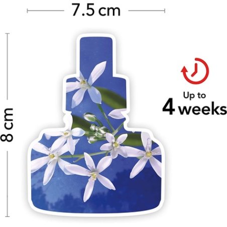 Yankee Candle ScentPlug Fragrance Refills Midnight Jasmine Plug in Air Freshener Oil 2 Count