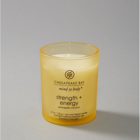 Chesapeake Bay Strength Energy Candle Three Wicks