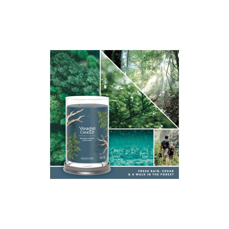 Yankee Candle Signature bougie en cire Cylindre Ambre, Pamplemousse, Mandarin Bleu 1 pièce(s)