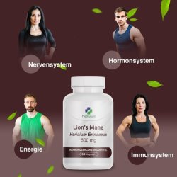 Lion's Mane 500mg Per Capsule 4:1 Extract 60 Capsules