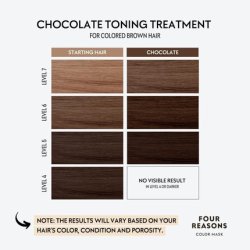 Four Reasons Color Mask Chocolate Toning Treatment Color Depositing Conditioner 6.76 fl oz