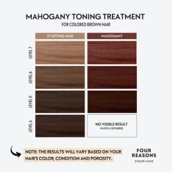 Four Reasons Color Mask Mahogany Toning Treatment Color Depositing Conditioner 6.76 fl oz