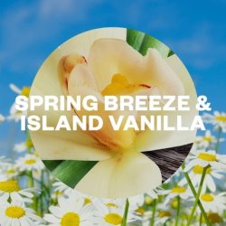 Air Wick Spring Breeze & Island Vanilla Automatic Air Freshener Freshmatic Auto Spray Refill 250ml