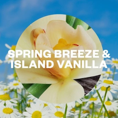 Air Wick Spring Breeze & Island Vanilla Automatic Air Freshener Freshmatic Auto Spray Refill 250ml