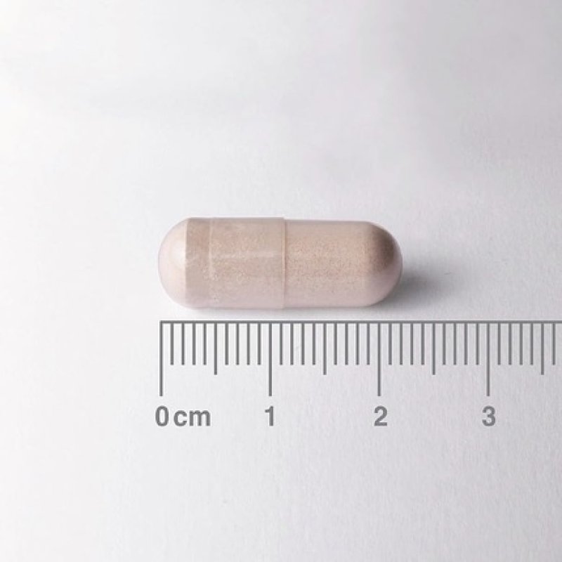 Lamberts Night Time 30 Capsules