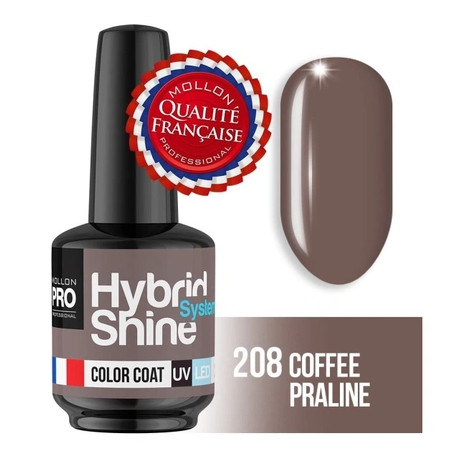 Mollon Pro Mol Hss 2/208 - Semi-Permanent Hybrid Nail Polish