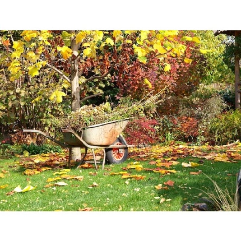 Conifer Fertilizer Autumn Winter Thuja Cypress 3kg