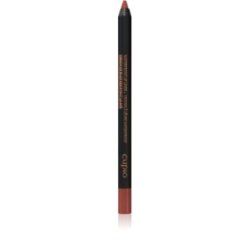 Cupio Lipstick - 1 Piece, 15x2 Cm, 41 Lip Liner And Lipstick, 1 G