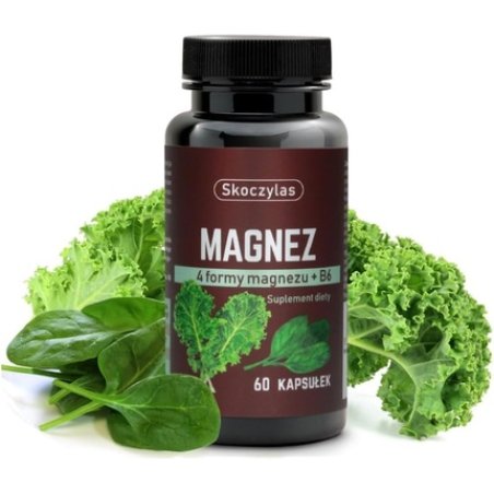 Skoczylas Magnesium 60 Capsules