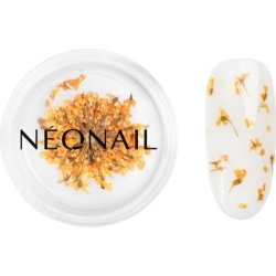 NEONAIL Dried Flowers for Nails - Orange, 1 piece