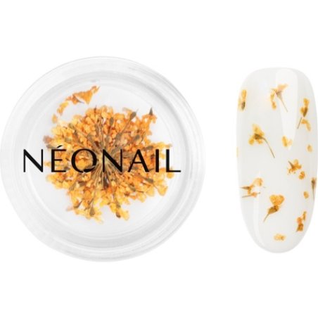 NEONAIL Dried Flowers for Nails - Orange, 1 piece