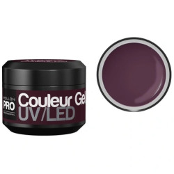 Mollon Pro Color Gel No. 17 Purple Orchid 5g