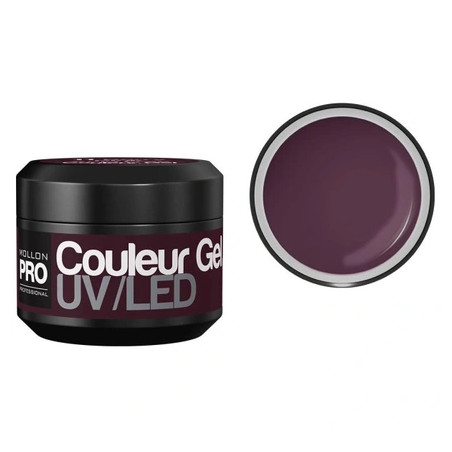 Mollon Pro Color Gel No. 17 Purple Orchid 5g