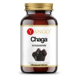 Yango Chaga 90 Capsules - Strengthens the Body's Immunity