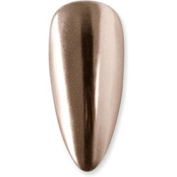 Andreia Professional Chrome Nail Powder Pen Nail Art All in One Illusion Pen For Gel Polish Manicure Colour 04 Mirror