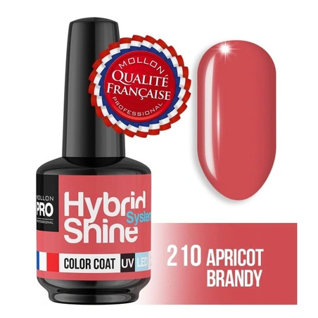 Mollon Pro Mol Hss 2/210 - Semi-Permanent Hybrid Nail Polish