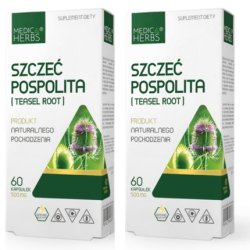 Wild Teasel Root Extract Dipsacus Sylvestris 500mg 120 Capsules