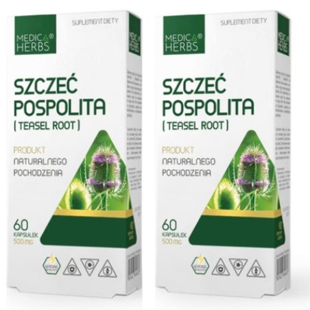 Wild Teasel Root Extract Dipsacus Sylvestris 500mg 120 Capsules