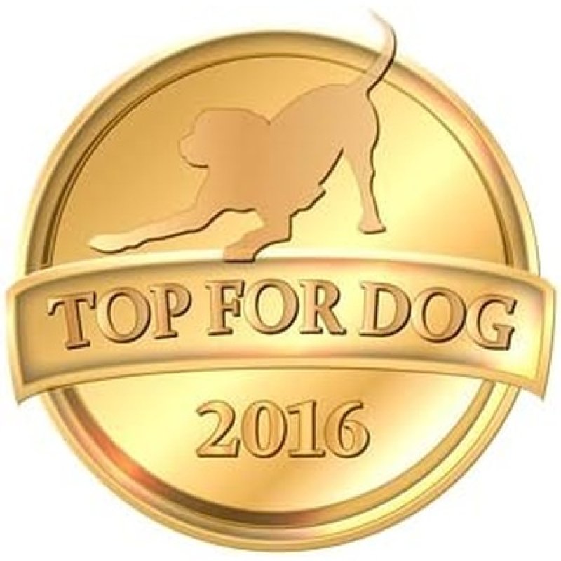 Aniflexi Fit V2 300g