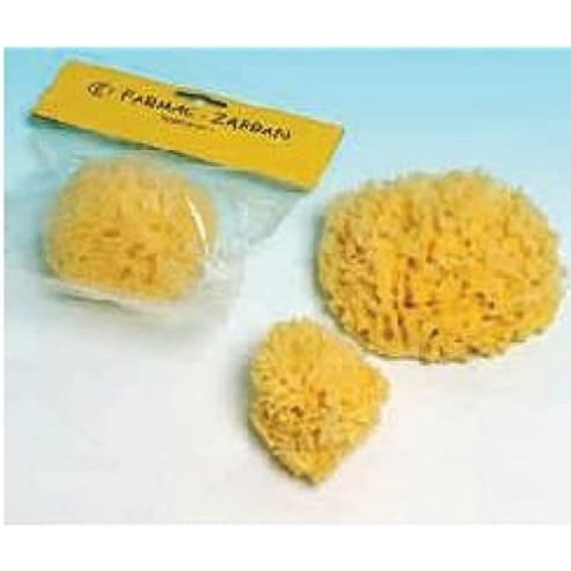 Schwamm Nat Mare 6 Zabb